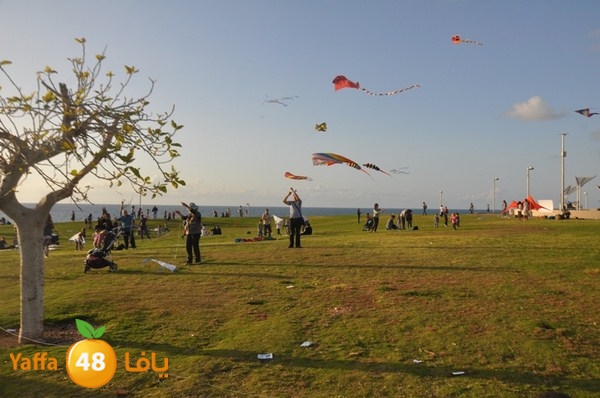 tayarat waraq (1).JPG